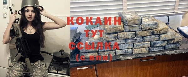 индика Коряжма