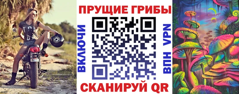 Галлюциногенные грибы мухоморы  продажа наркотиков  Кореновск 