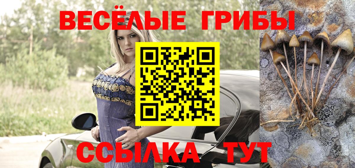 Псилоцибиновые грибы прущие грибы Кореновск